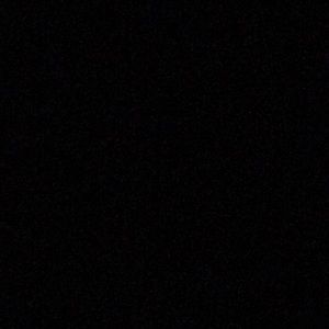 Meet your Posher, Patty